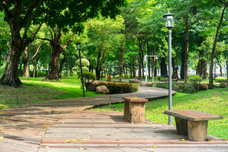 park-with-wooden-pathway-benches