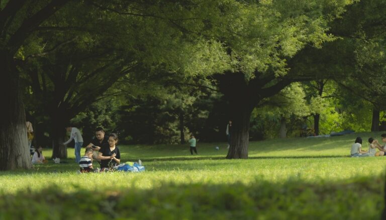 Magyar Piknik – polsko-węgierskie święto kultury i smaku w Gminie Tarnów