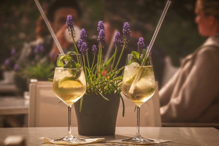 Winne Molo – nowa atrakcja turystyczna w Janowicach z widokiem na dolinę Dunajca