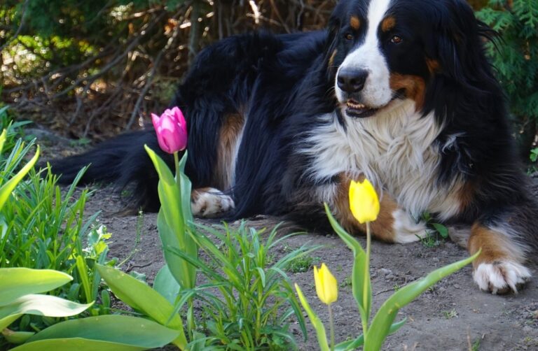 W 10 Zlocie Berneńczyków uczestniczy cała Polska