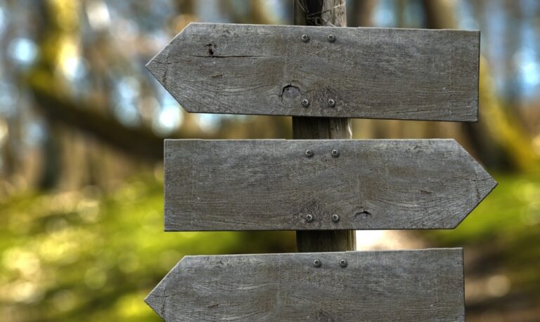 Zapowiadany powrót do koron drzew – ścieżka w Ciężkowicach znów otwarta dla turystów