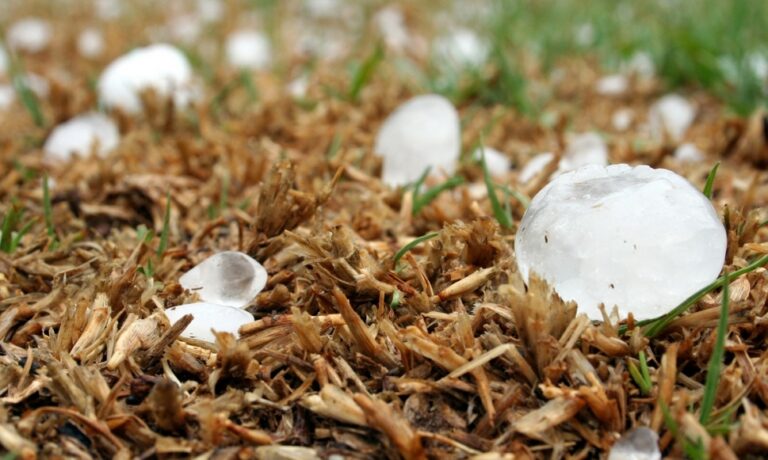 Nietypowe zjawisko pogodowe nawiedziło Tarnów: grad wielkości kurzych jaj