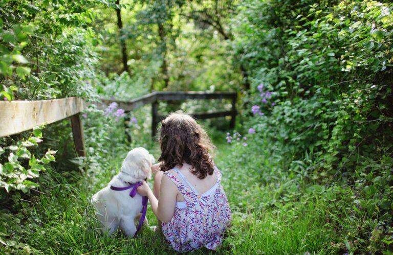 Porozumienie z psami – spotkania z behawiorystką zwierzęcą