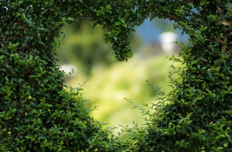 W nadchodzącą sobotę Biuro Wystaw Artystycznych w Tarnowie zaprasza na Tarnowski Dzień Miejskiego Ogrodnika
