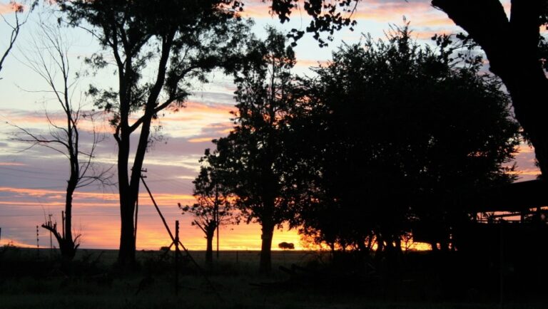 Rodzinne świętowanie Dnia Babiego Lata w Tarnowie pod patronatem prezydenta miasta