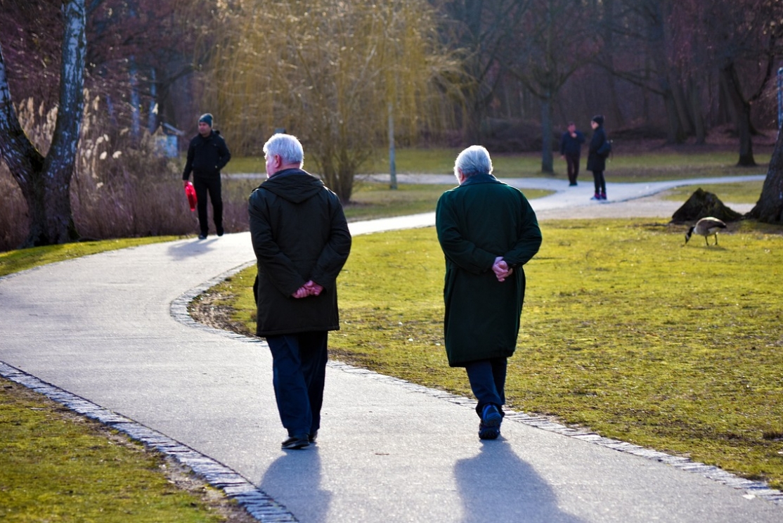 „Weekend seniora z kulturą” – atrakcje dla seniorów w Tarnowie