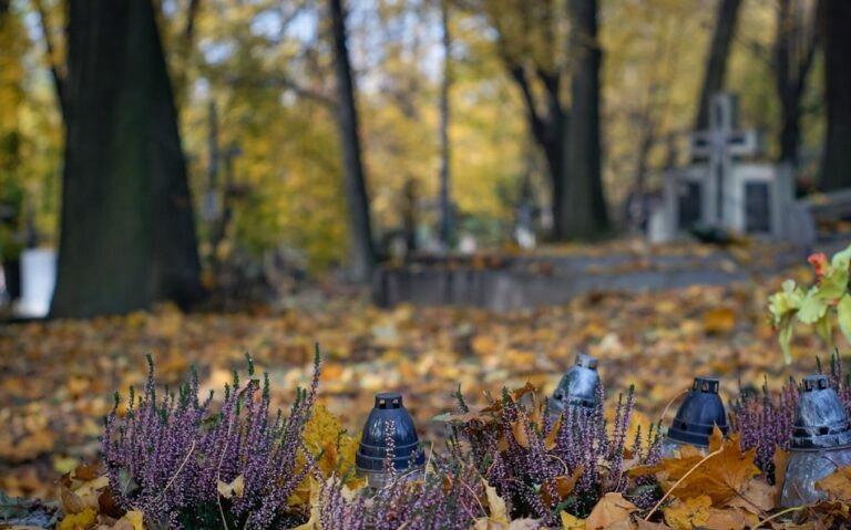 Remont Starego Cmentarza w Tarnowie po zniszczeniach spowodowanych przez nawałnicę