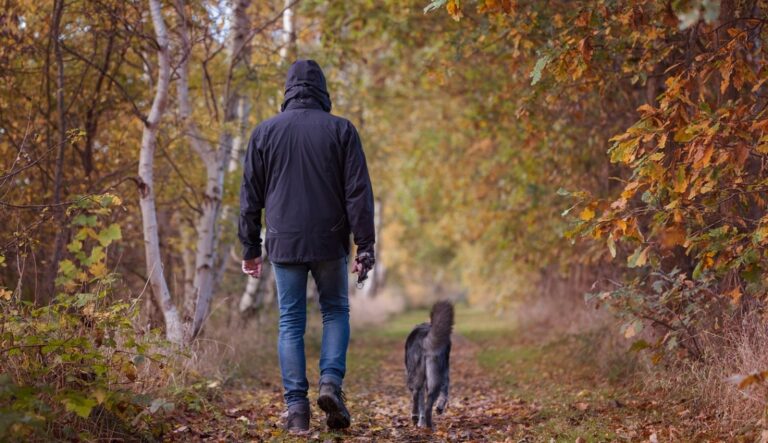 Letni hit turystyczny w regionie tarnowskim: Ciężkowicka ścieżka w koronach drzew
