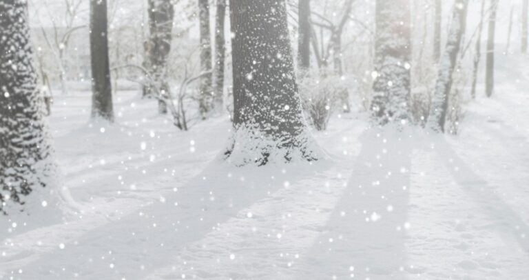 Rosnąca liczba bezdomnych szuka schronienia w Tarnowskim Domu dla Mężczyzn na ulicy Prostopadłej