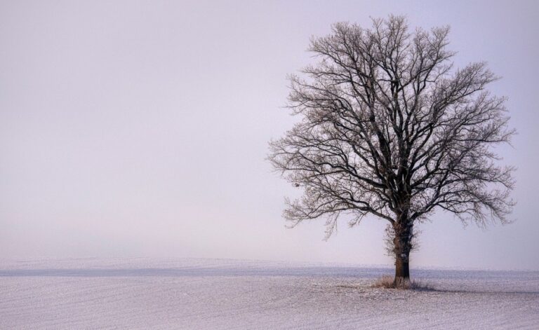 Policjanci z Tarnowa uratowali dwóch bezdomnych mężczyzn przed śmiercią w mroźną noc