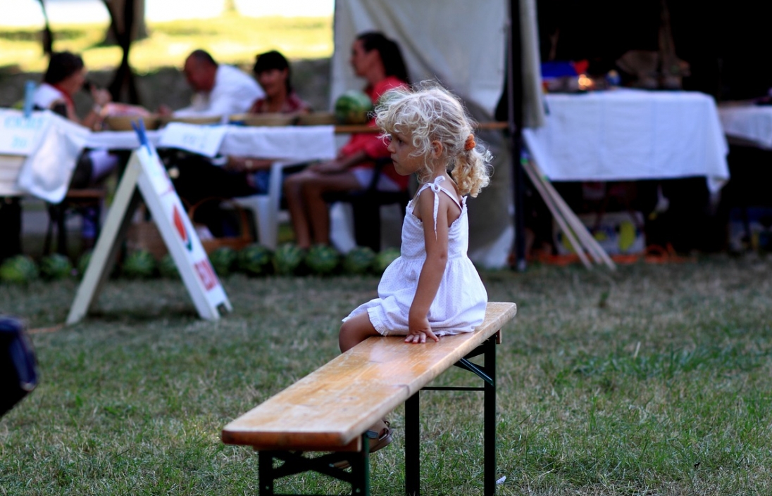 Piknik historyczny w hołdzie 16. Pułkowi Piechoty Ziemi Tarnowskiej