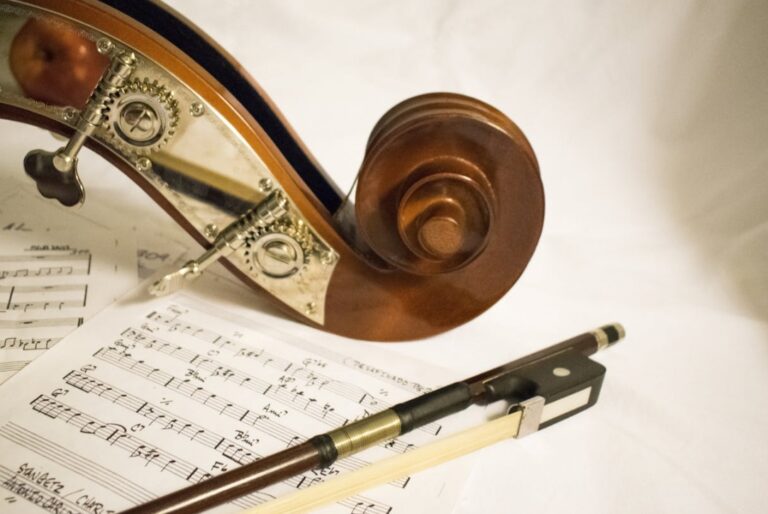 Centrum Kulturalne Pałac Sanguszków zaprasza na koncert muzyki klasycznej