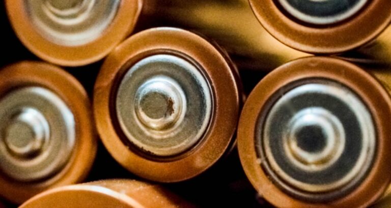 "Zielona inicjatywa": darmowe rośliny dla mieszkańców w zamian za zużyte baterie