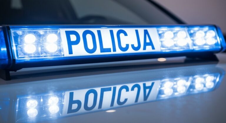 bezpieczne-podr----e-w-d--ugi-weekend-listopadowy--auto-1363