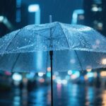 uwaga--b--dzie---lisko--auto-5079