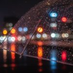 uwaga----lisko--auto-5147