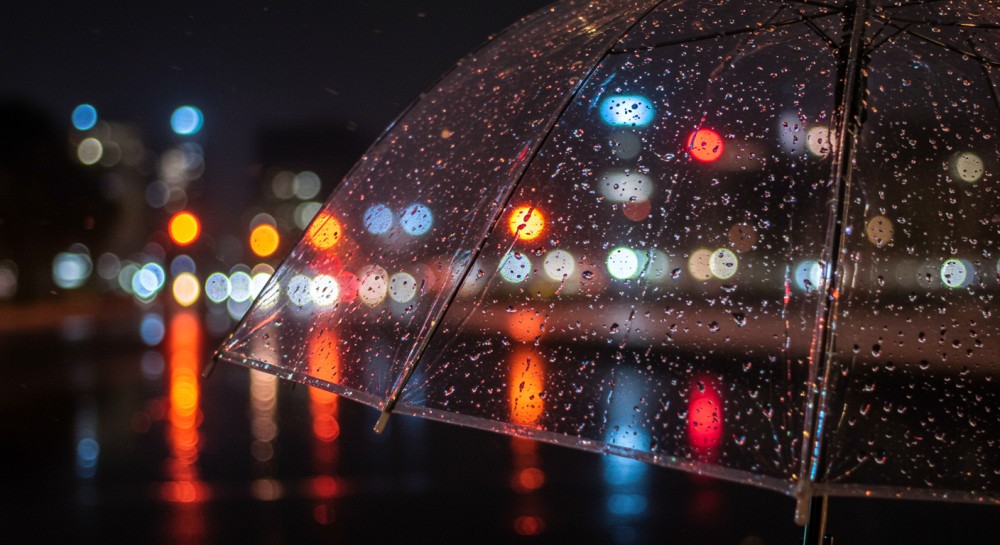 uwaga----lisko--auto-5147