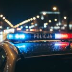 kradzie---miedzianych-rynien-z-pa--acu-d--bskich---auto-6912