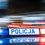 nieuchwytni-przest--pcy-w-europie--kto-zagra--a-tw-auto-363