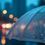 uwaga----lisko--auto-5170