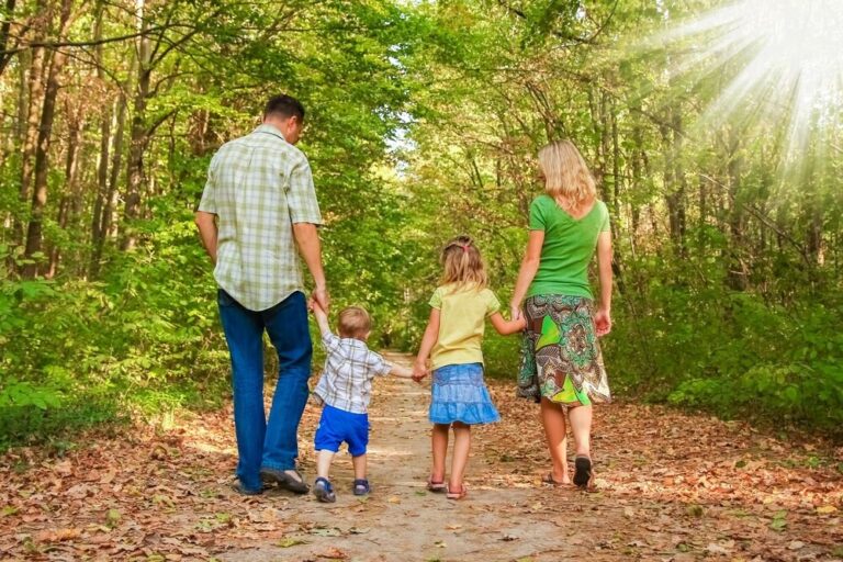 wsparcie-dla-zak--adu-aktywno--ci-zawodowej-w-wier-auto-5265