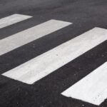 apel-do-w--a--cicieli-zwierz--t-auto-5972