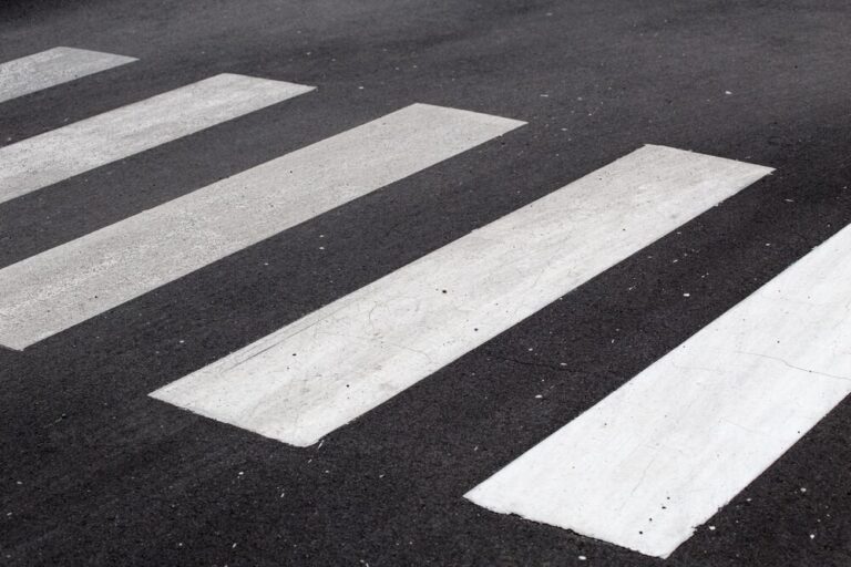 apel-do-w--a--cicieli-zwierz--t-auto-5972