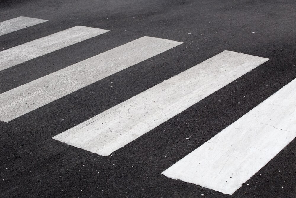 apel-do-w--a--cicieli-zwierz--t-auto-5972