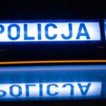 niecodzienna-pobudka-na-autostradzie-auto-1366