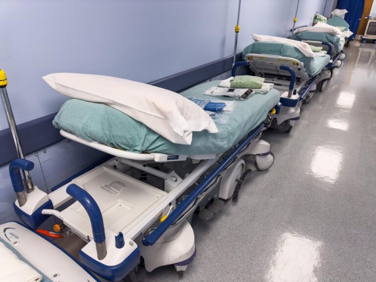 -----rody-pe--ne-troski----w-mo--cickim-centrum-me-auto-3894