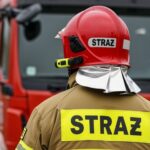 austriaccy-stra--acy-w-tarnowie--mi--dzynarodowa-w-auto-6783