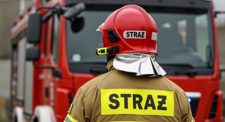 austriaccy-stra--acy-w-tarnowie--mi--dzynarodowa-w-auto-6783